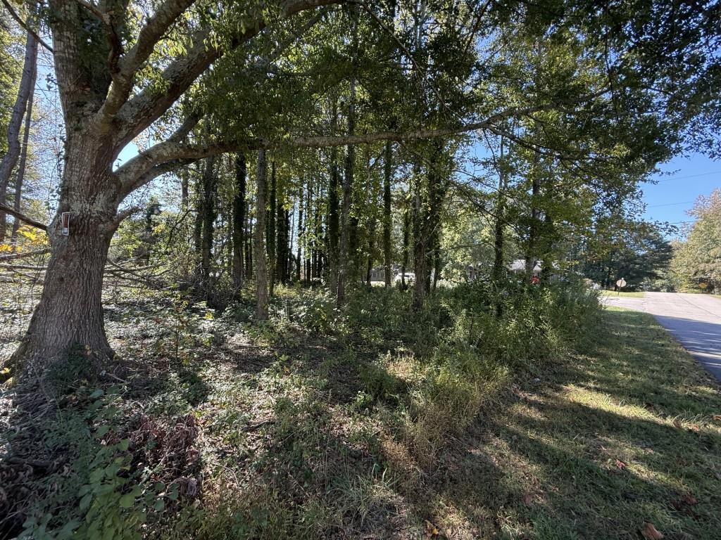 5666 McLeod Street Lula, GA 30554 - Photo 13 of 14