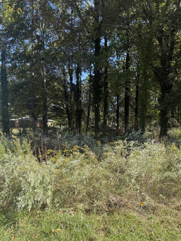 5666 McLeod Street Lula, GA 30554 - Photo 5 of 14