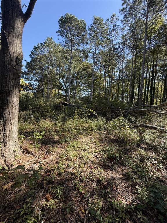 5666 McLeod Street Lula, GA 30554 - Photo 7 of 14