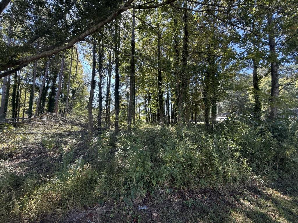 5666 McLeod Street Lula, GA 30554 - Photo 8 of 14