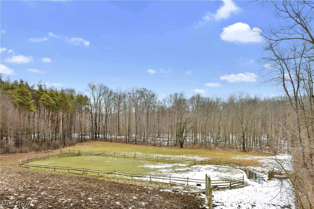13999 Aquilla Road Burton, OH 44021 - Photo 7 of 35