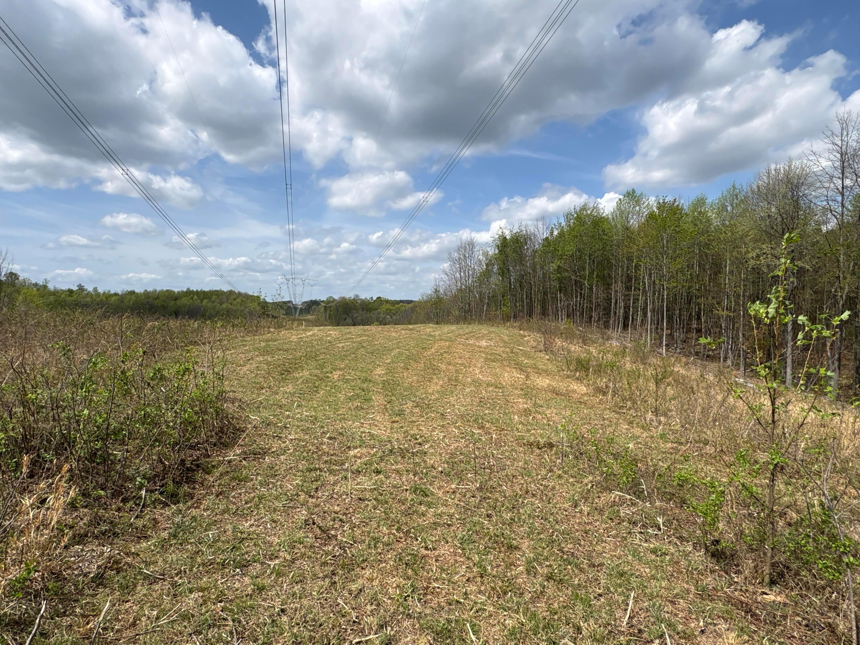 0 Pyle Road Lucasville, OH 45648 - Photo 11 of 26 pic 16