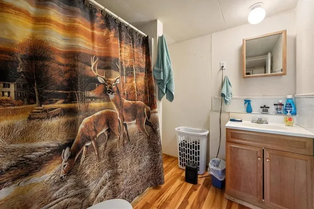 a view of a house with backyard and a trees