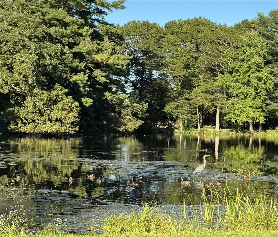 14 Myra Road Coventry, RI 02816 - Photo 33 of 36