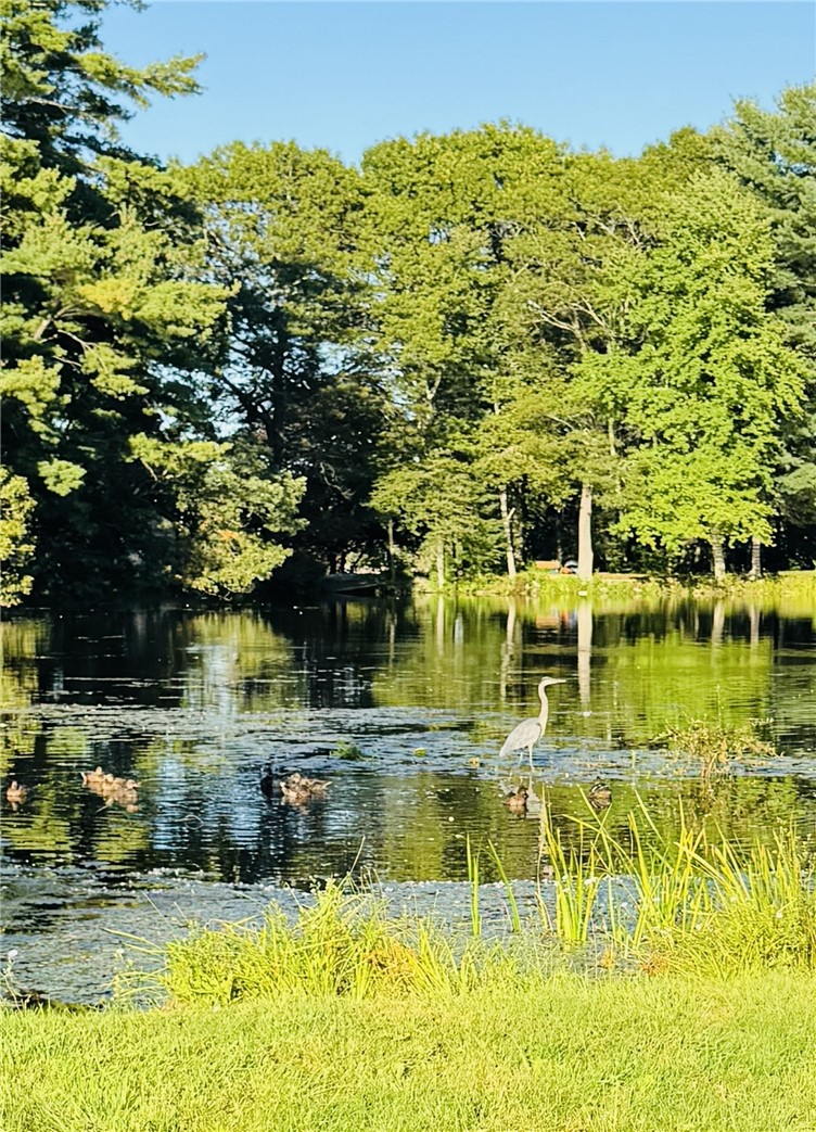 14 Myra Road Coventry, RI 02816 - Photo 34 of 36