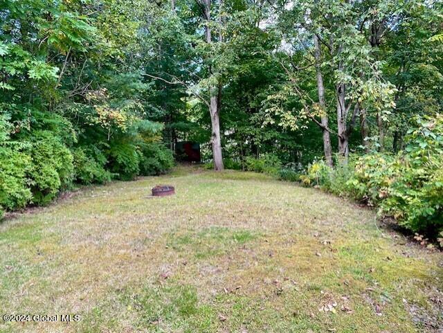 25 Boyce Road Schodack, NY 12123 - Photo 33 of 39 Big Back Yard