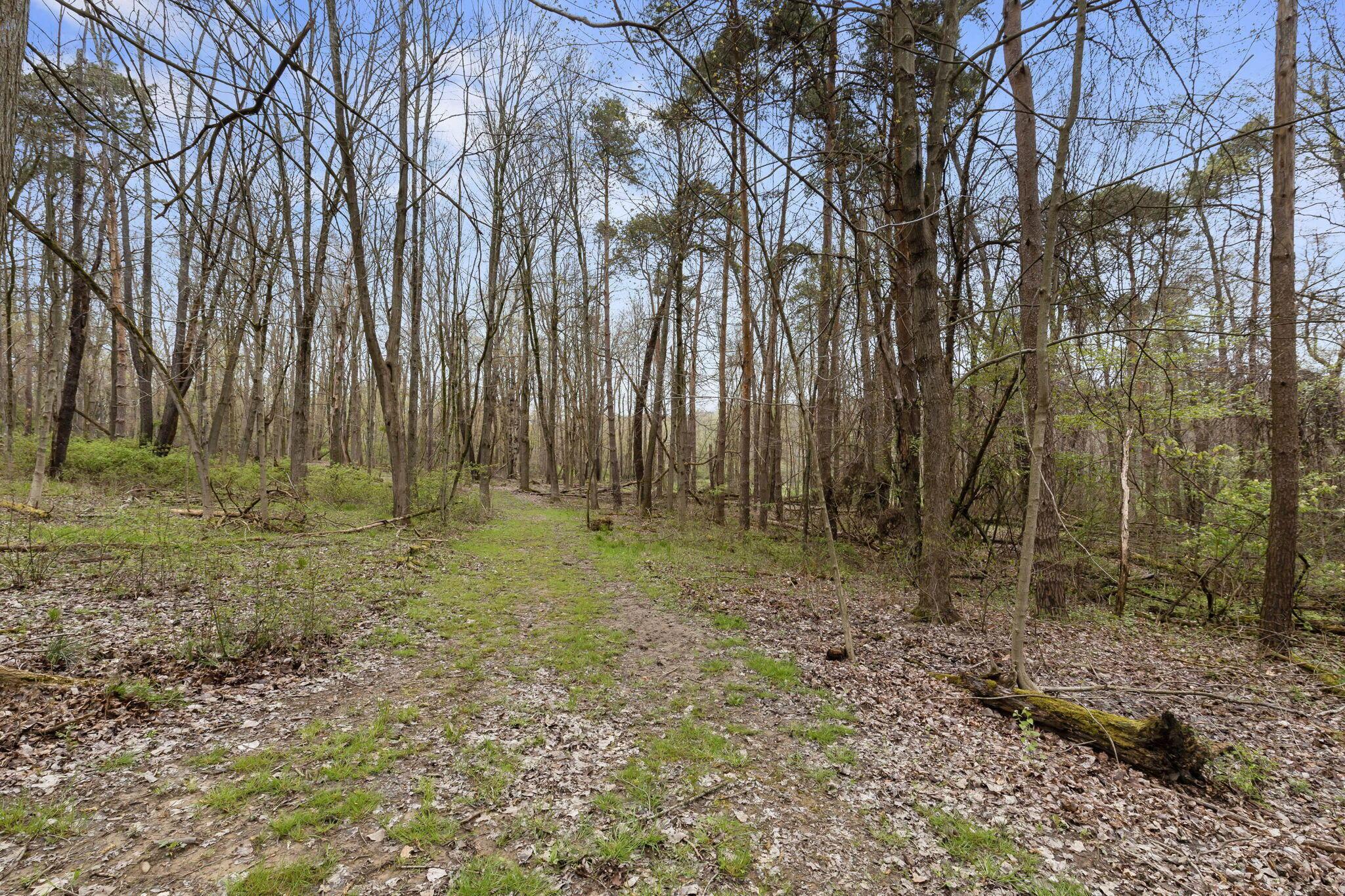 1225 Pleasant Valley Road Mansfield, OH 44903 - Photo 72 of 96 79-web-or-mls-1225PleasantValleyRdExt_Ho