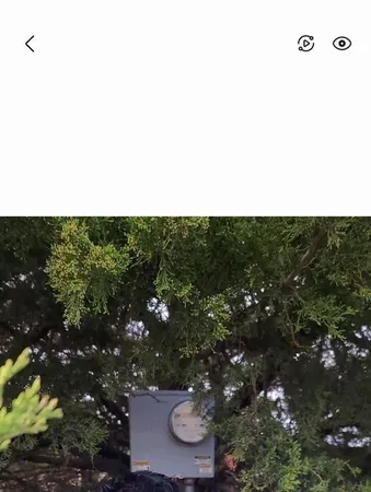 $1,300,000 | Tbd Tbd Fm-36, Farmersville, TX 75442