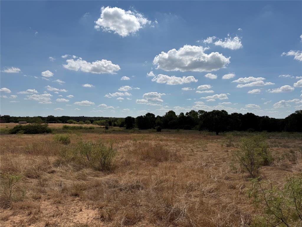 1891 Jordan Road Weatherford, TX 76088 - Photo 5 of 10 Expansive open land featuring diverse natural vegetation and a distant tree line