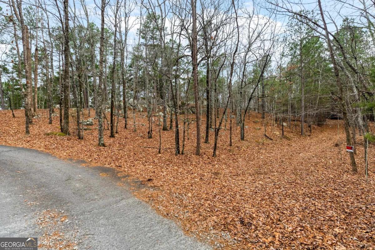 251 Winding River Road Eatonton, GA 31024 - Photo 3 of 15