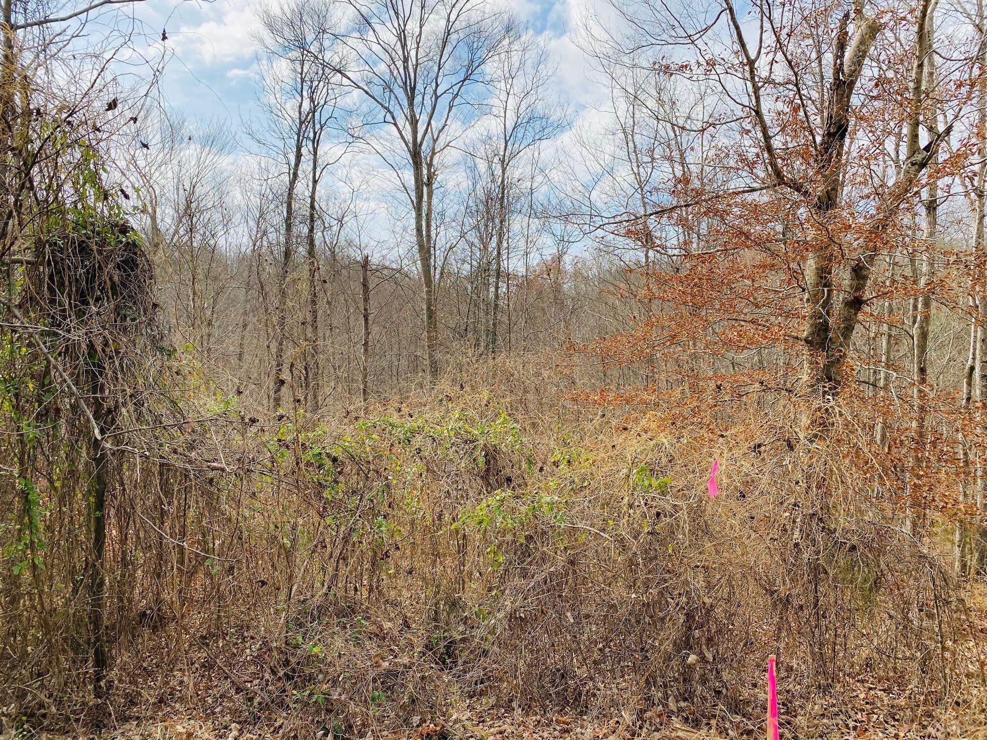 2 Stearns Holw Road Monticello, KY 42633 - Photo 9 of 25 20201123190251054582000000-o