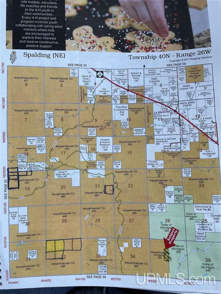 Tbd River Road, Unit 4 Powers, MI 49874 - Photo 3 of 5