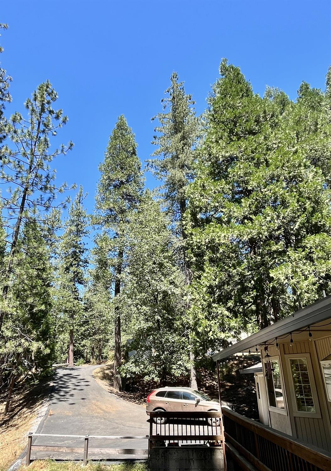 5635 Azalea Circle Pollock Pines, CA 95726 - Photo 16 of 20 Driveway from Front Door