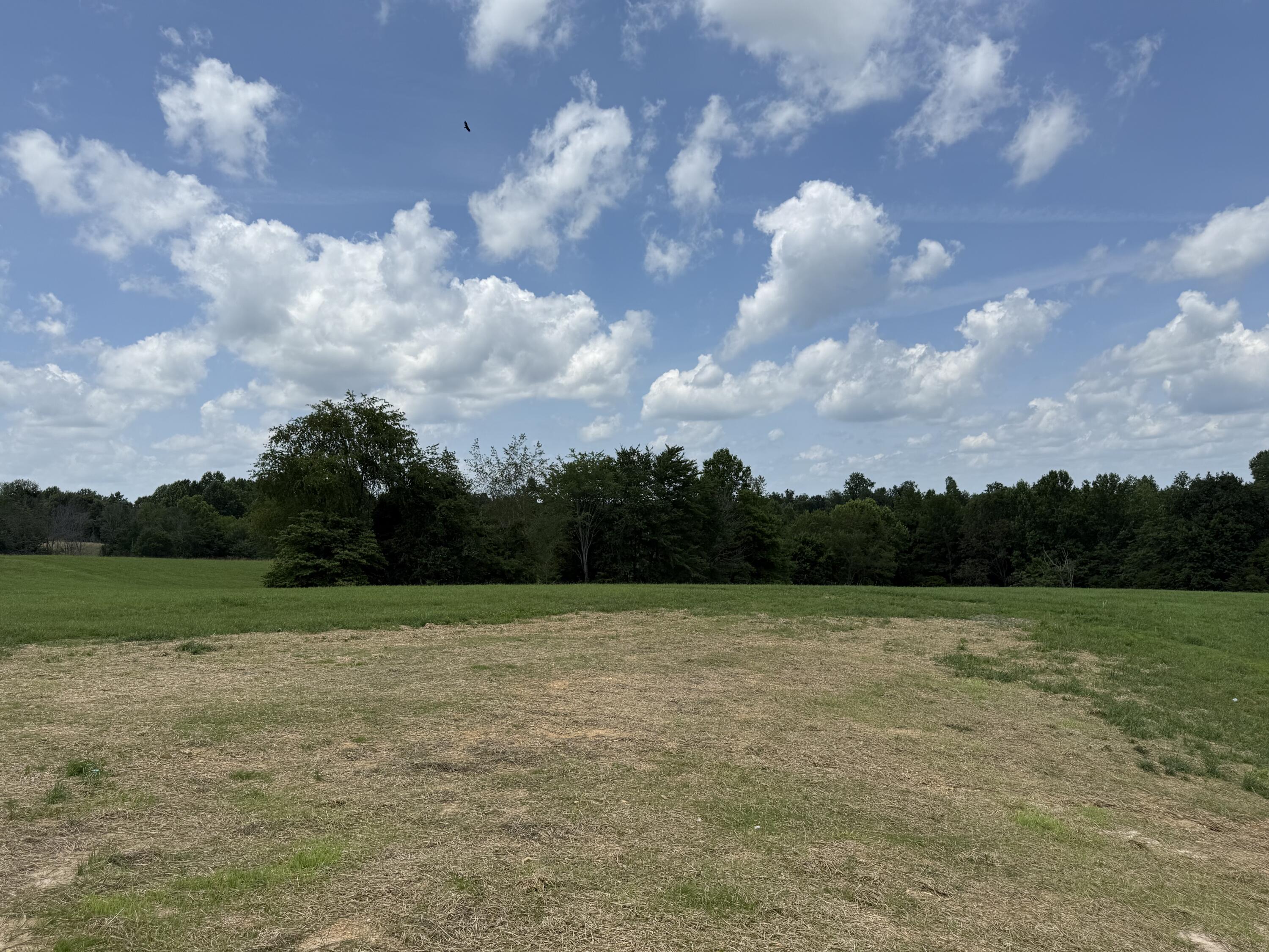 2050 Allen Schoolhouse Road Columbia, KY 42728 - Photo 28 of 45 IMG_1953