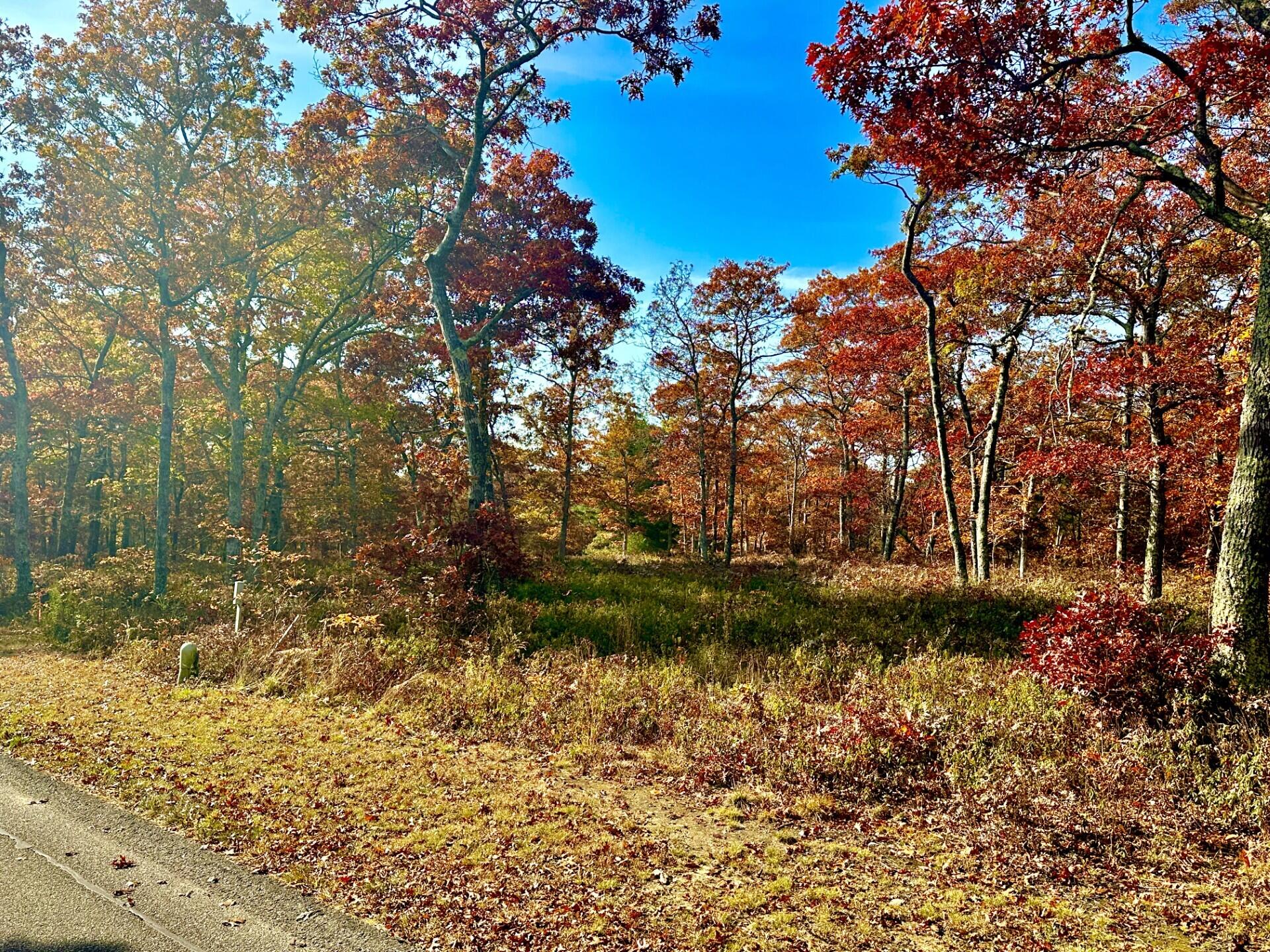 0 Bridle Path Road Oak Bluffs, MA 02557 - Photo 4 of 5 land