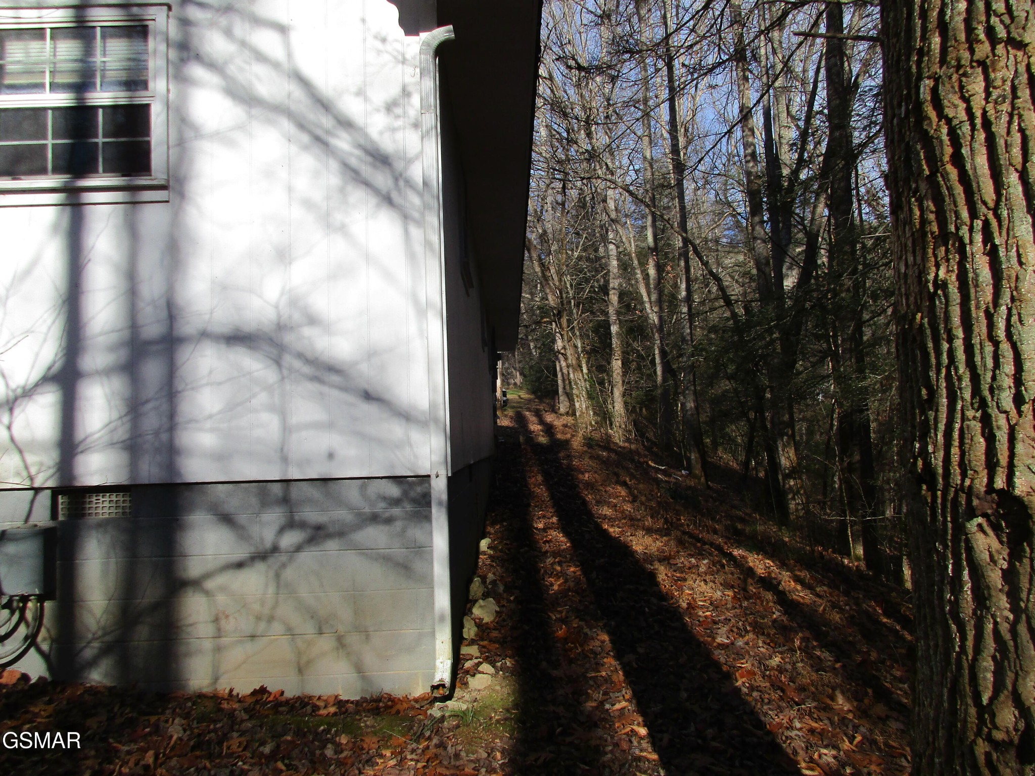 4317 Lindsey Gap Road Cosby, TN 37722 - Photo 5 of 28 Gallery Image 5