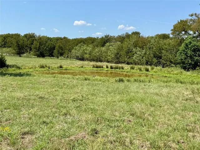 a view of a green field with trees in the background