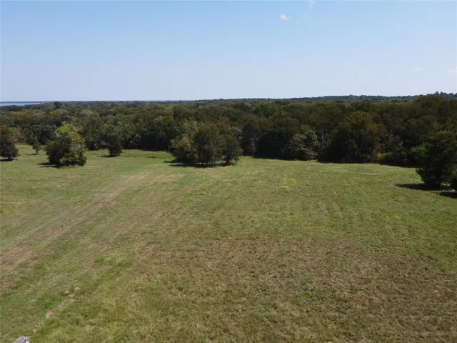a view of a field with an trees