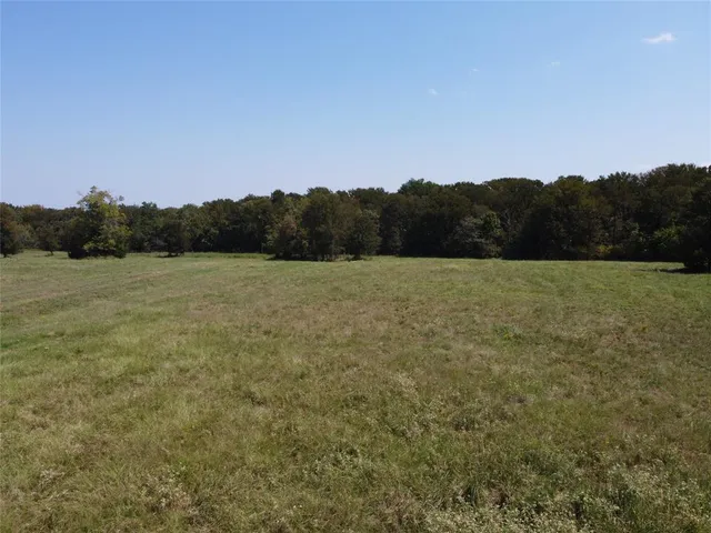 a view of a field with a tree