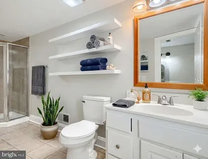 a bathroom with a potted plant on the counter and a toilet
