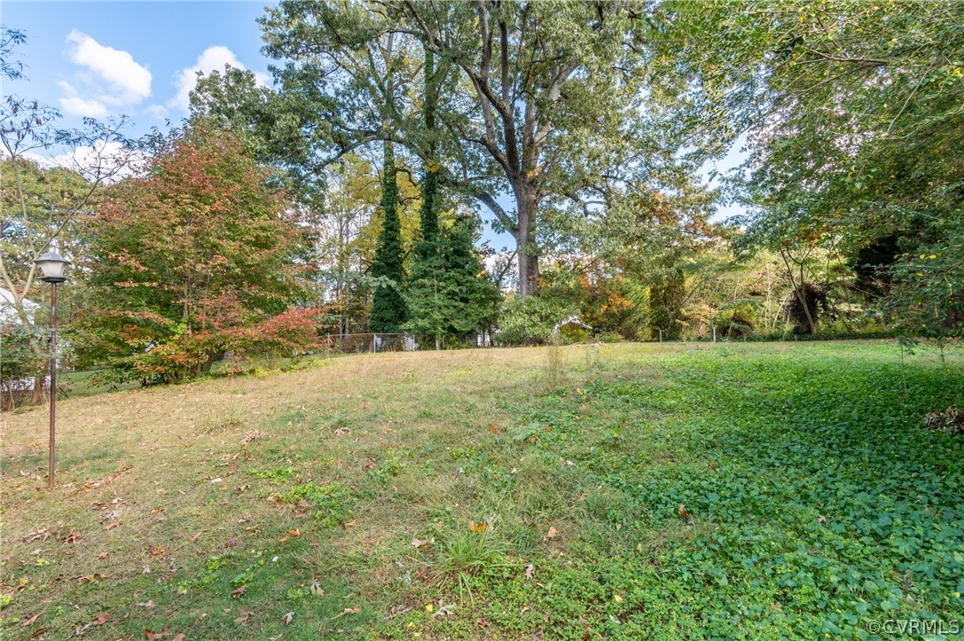 2313 Adelphi Road Henrico, VA 23229 - Photo 32 of 33 Backyard
