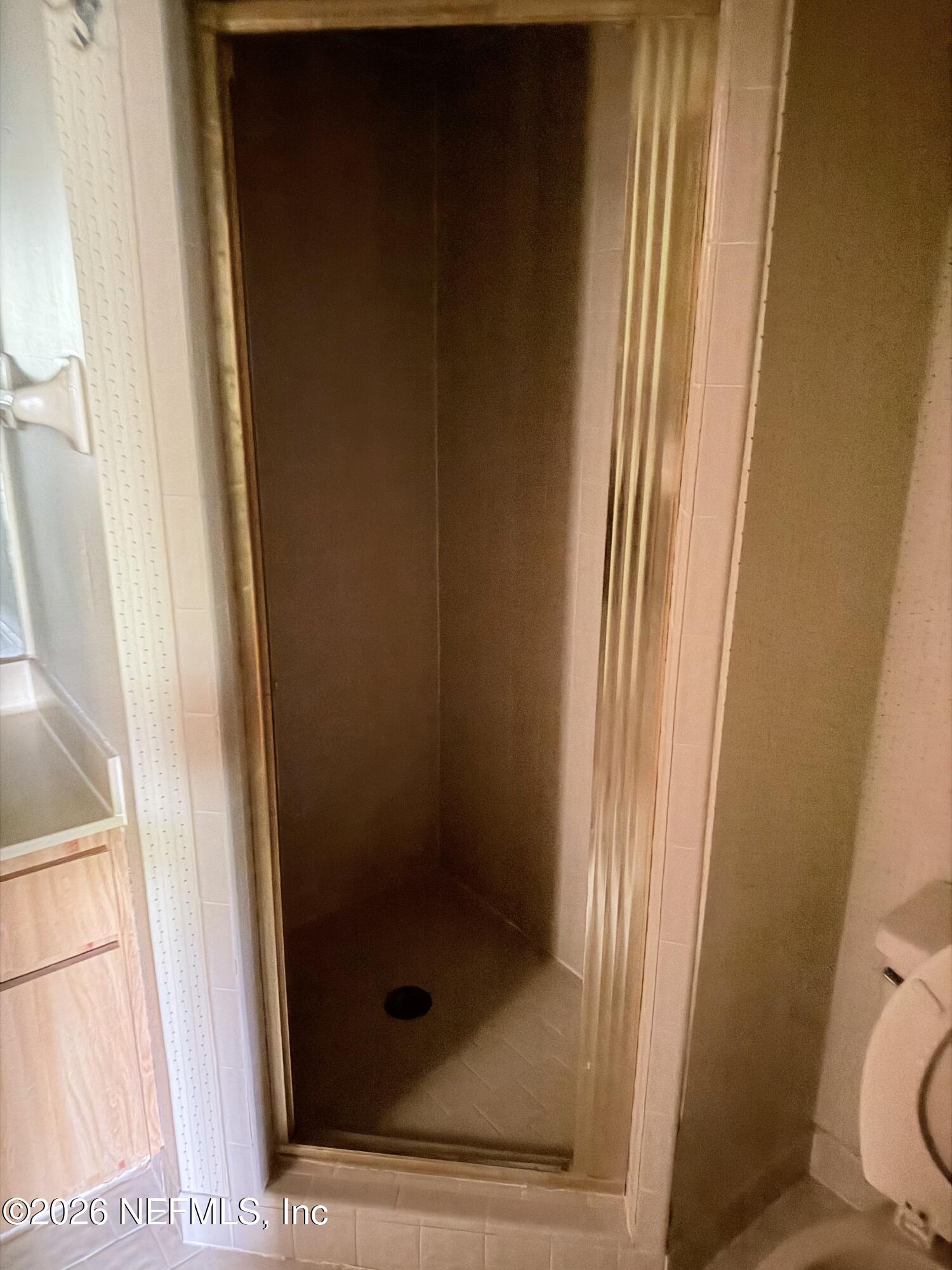 2960 Ravines Road, Unit 1325 Middleburg, FL 32068 - Photo 11 of 25 IMG_9752