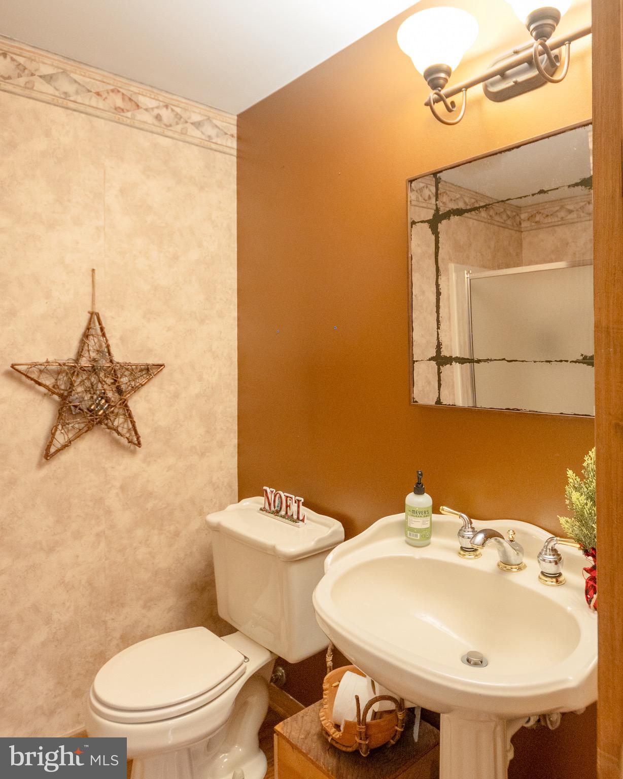 1553 White Oak Road Strasburg, PA 17579 - Photo 37 of 52 a bathroom with a sink a toilet and shower curtain