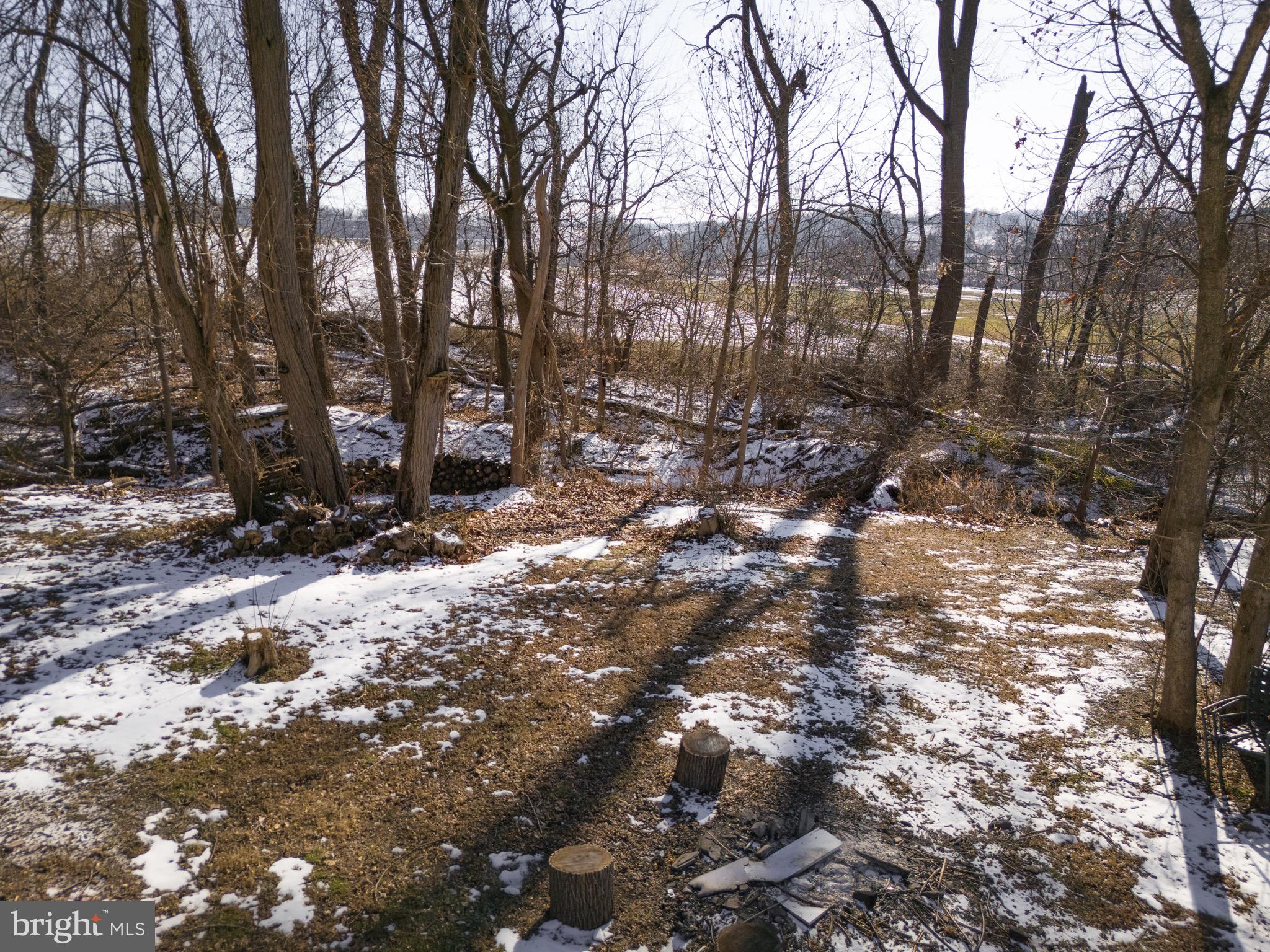 1553 White Oak Road Strasburg, PA 17579 - Photo 50 of 52 a view of a tree with snow on the background