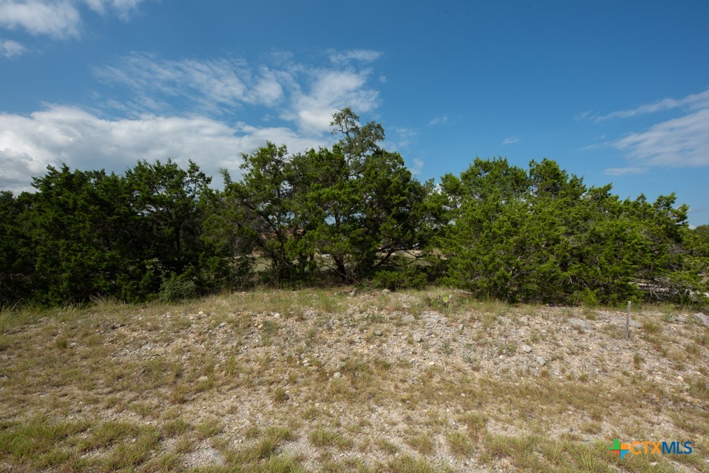 865 Rutherford Fischer, TX 78623 - Photo 14 of 20 a backyard of a house
