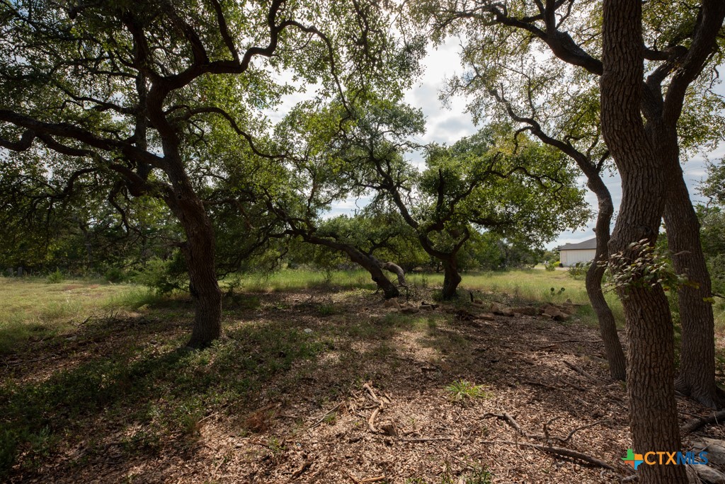 865 Rutherford Fischer, TX 78623 - Photo 15 of 20 a view of a forest with lots of trees