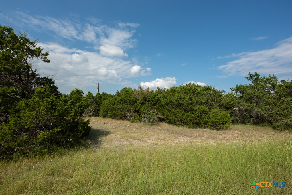 865 Rutherford Fischer, TX 78623 - Photo 16 of 20 a view of a lake with a yard