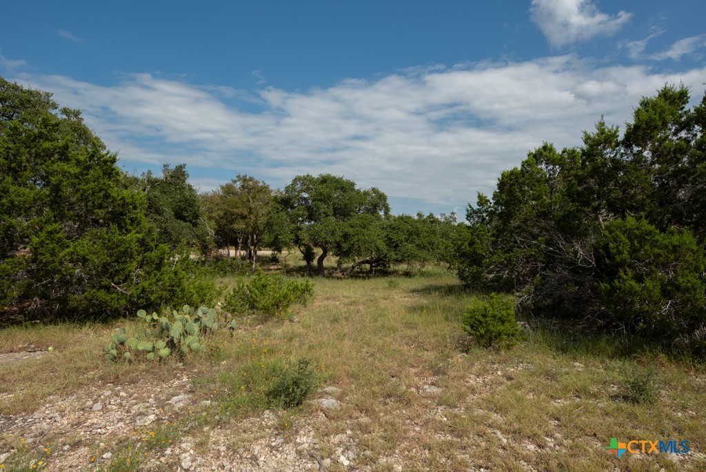 865 Rutherford Fischer, TX 78623 - Photo 19 of 20 a view of lake with green space