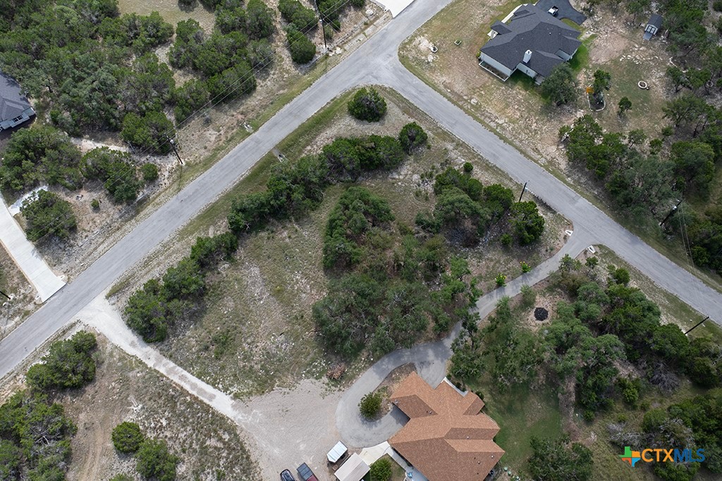 865 Rutherford Fischer, TX 78623 - Photo 3 of 20 a view of a yard with potted plants