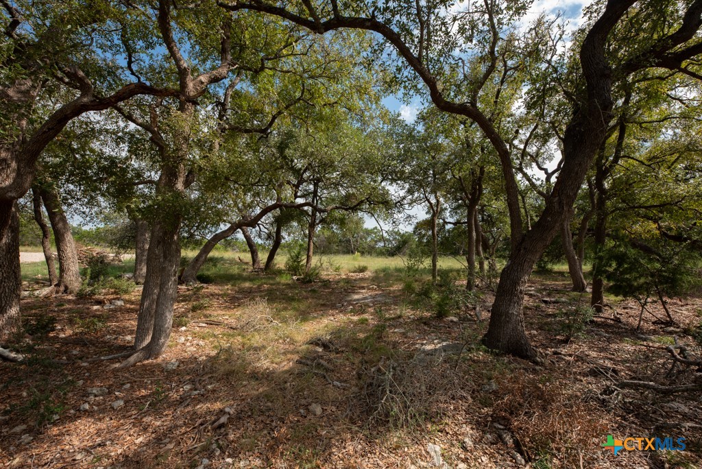 865 Rutherford Fischer, TX 78623 - Photo 7 of 20 a view of backyard with green space