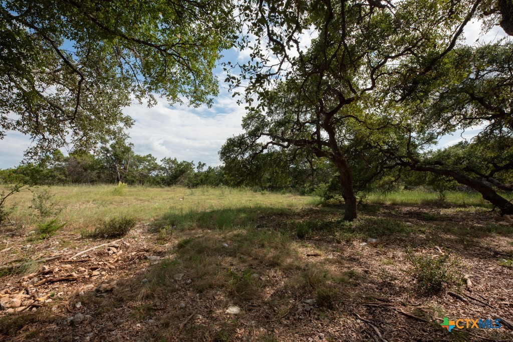 865 Rutherford Fischer, TX 78623 - Photo 8 of 20 a view of a lake with a tree