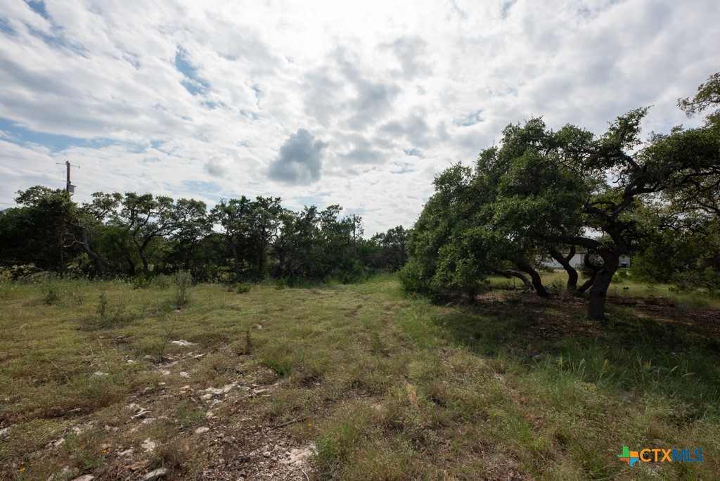 865 Rutherford Fischer, TX 78623 - Photo 9 of 20 a view of a field with lots of trees
