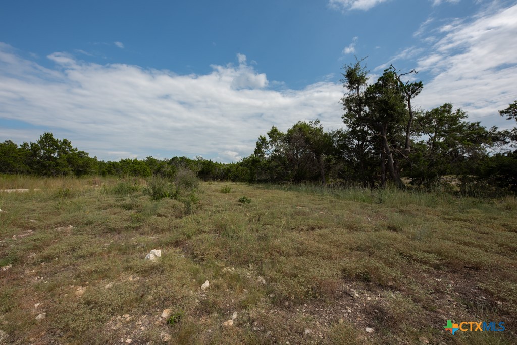 865 Rutherford Fischer, TX 78623 - Photo 10 of 20 a view of a lake with houses in outdoor space
