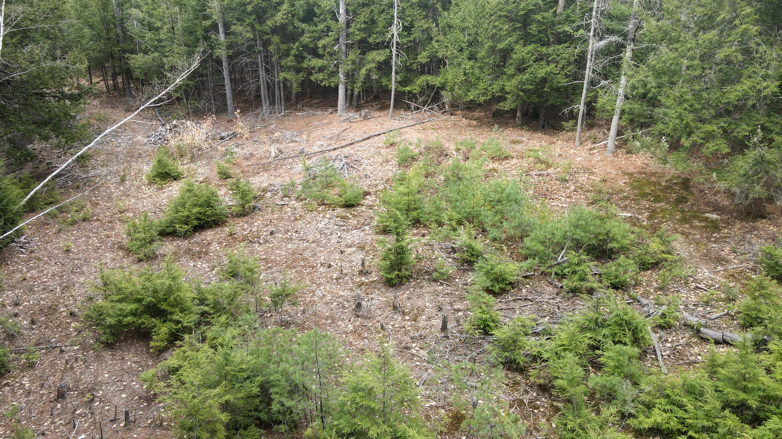 57 Dolloff Road Standish, ME 04084 - Photo 3 of 6 Aerial