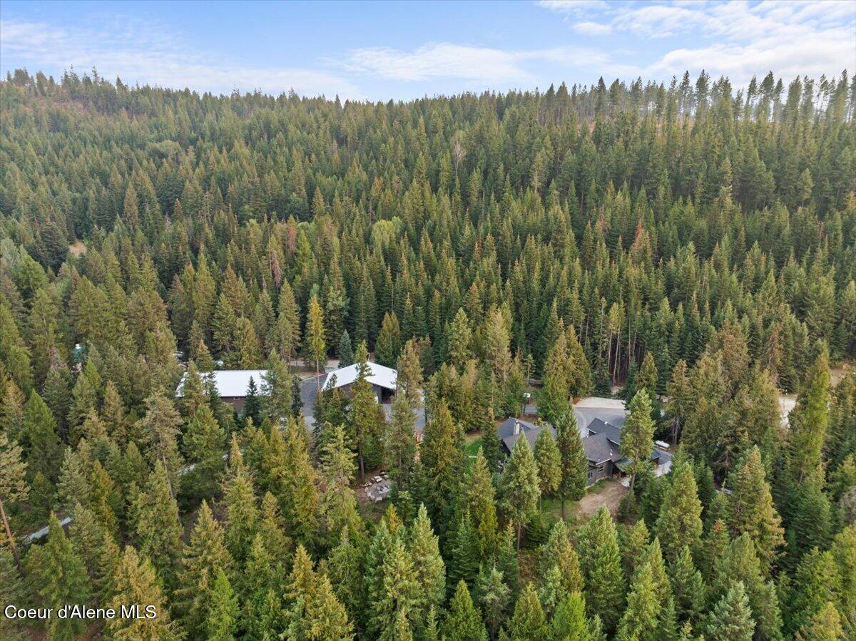 529 South Beaver Lake Road Athol, ID 83801 - Photo 81 of 85 Aerial back of home