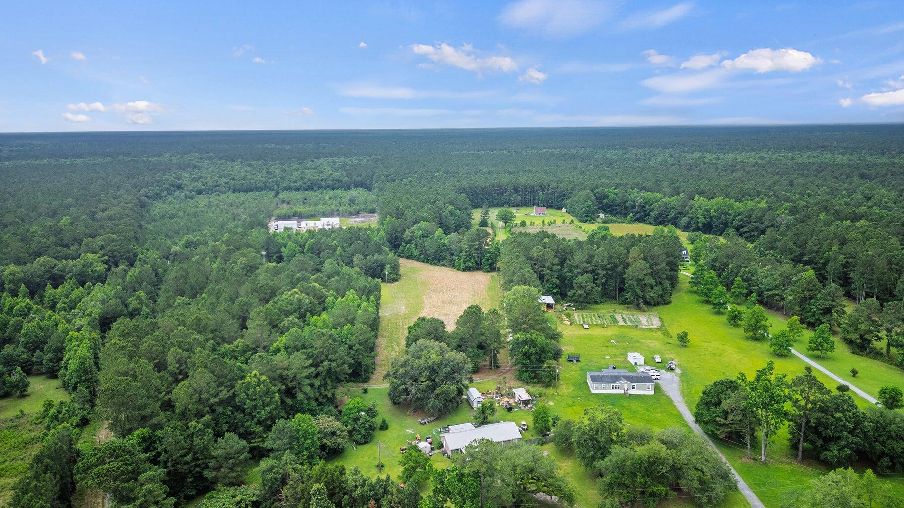 191 Marion Wds Trail Bonneau, SC 29431 - Photo 11 of 15 20250612133732960576000000-o