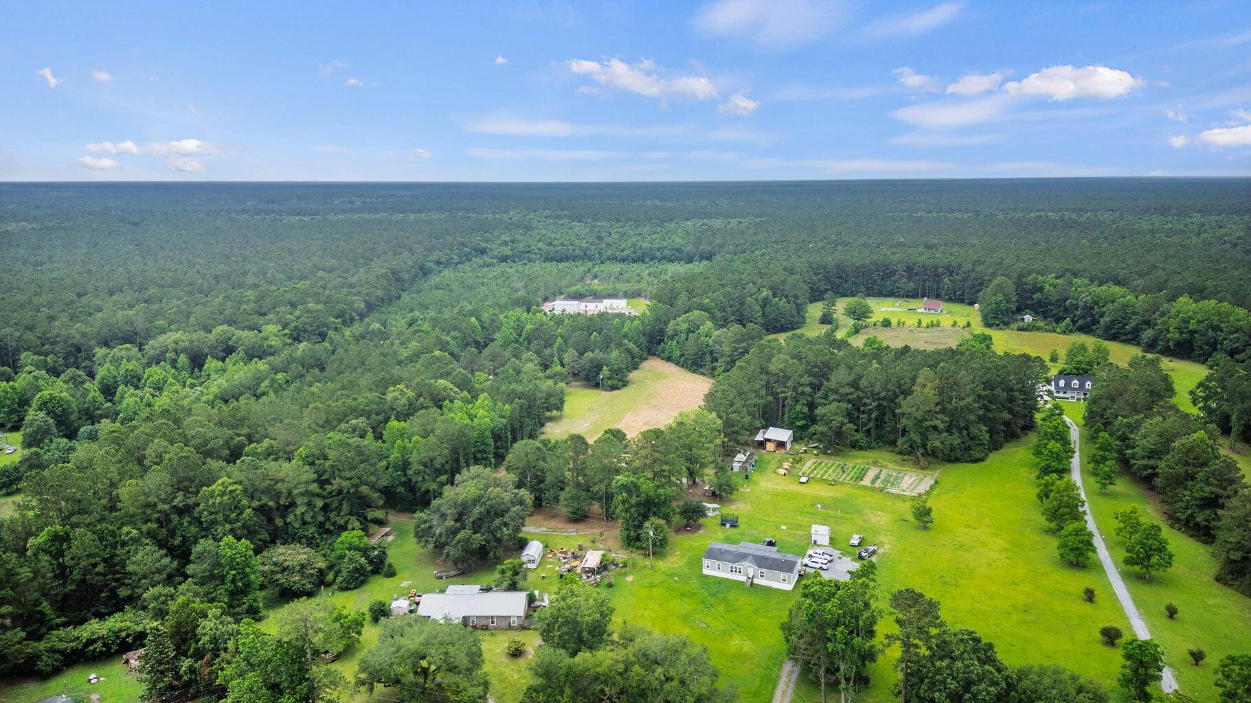 191 Marion Wds Trail Bonneau, SC 29431 - Photo 12 of 15 20250612133731148744000000-o