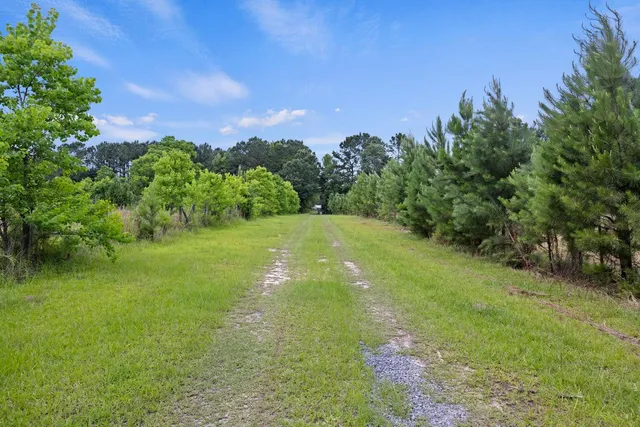 $119,900 | 191 Marion Wds Trail, Bonneau, SC 29431