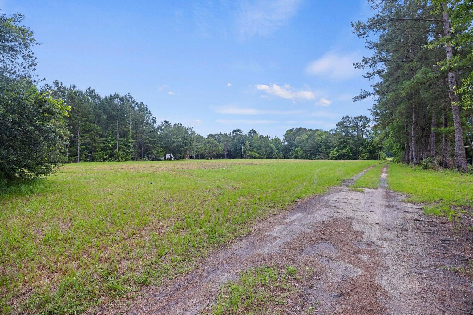 191 Marion Wds Trail Bonneau, SC 29431 - Photo 6 of 15 20250612133723344037000000-o