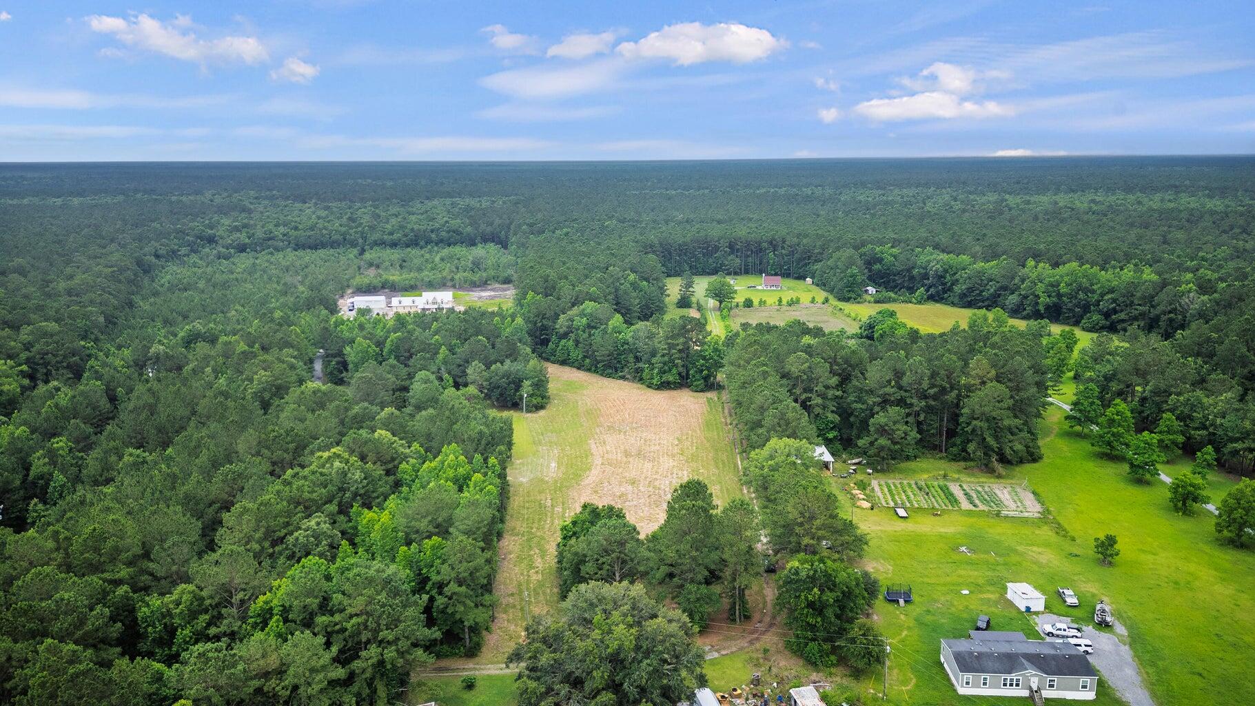 191 Marion Wds Trail Bonneau, SC 29431 - Photo 9 of 15 20250612133729360169000000-o