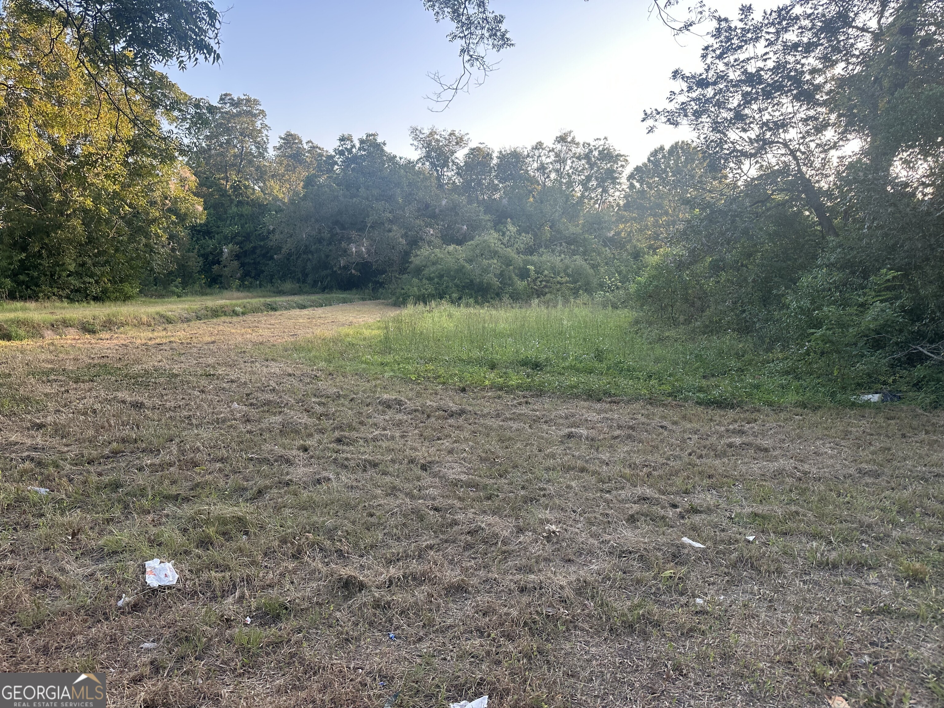 305 Mary Street Dublin, GA 31021 - Photo 2 of 4 a view of a field with trees in the background
