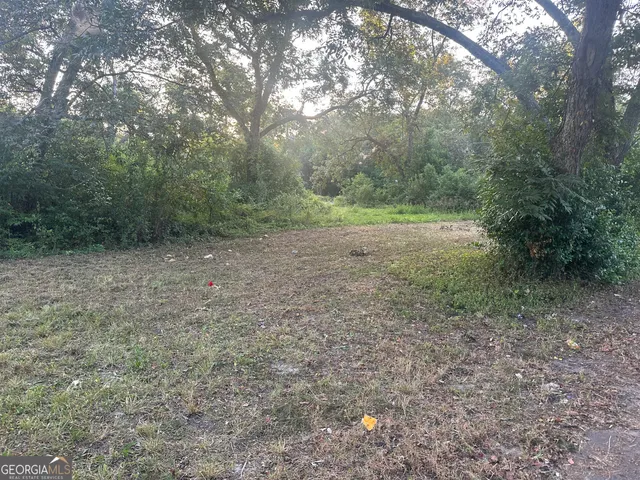 a view of a forest with trees in the background