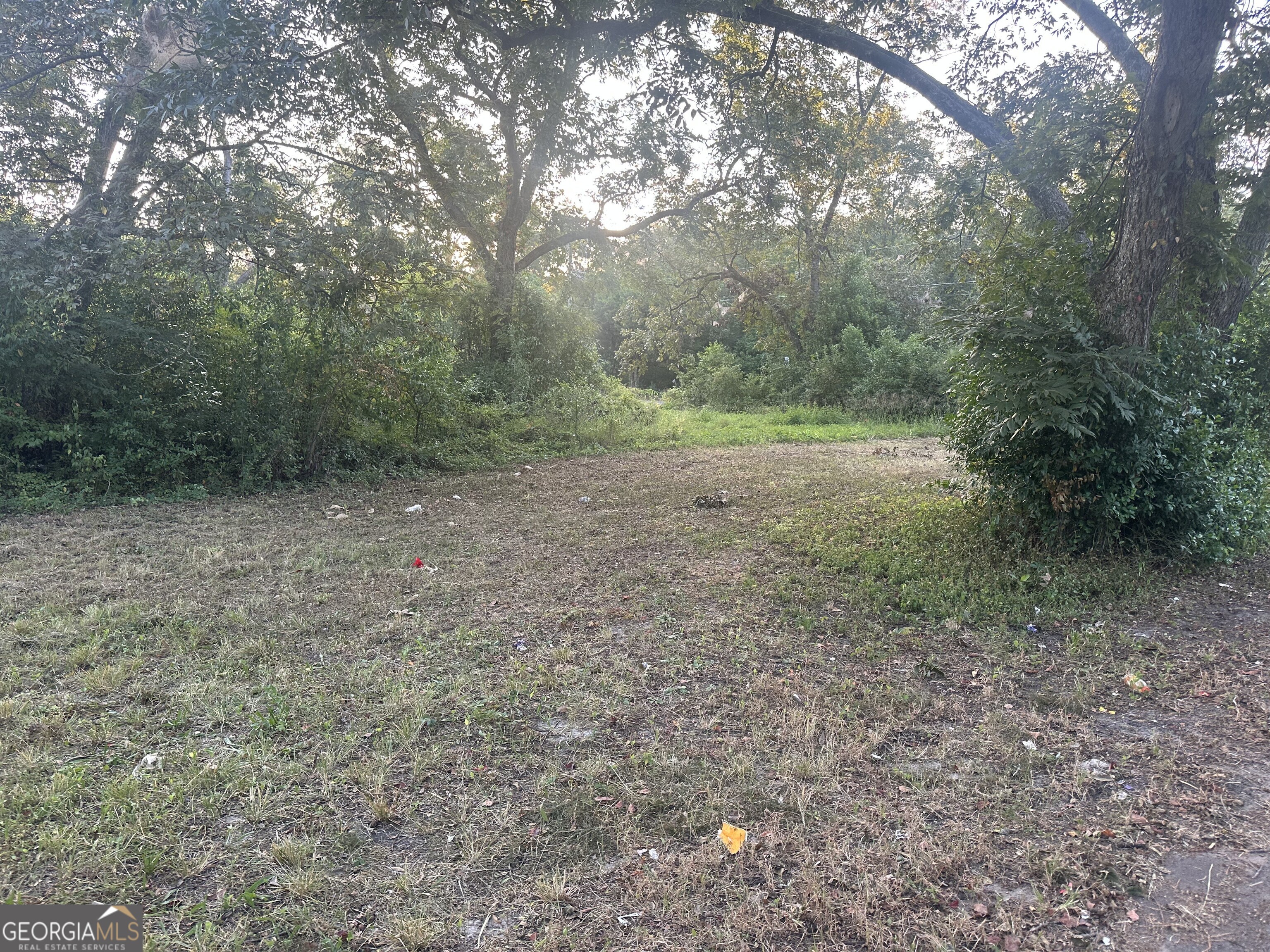 305 Mary Street Dublin, GA 31021 - Photo 3 of 4 a view of a forest with trees in the background