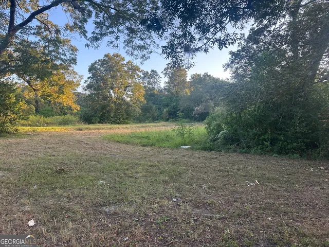 a view of a field with trees
