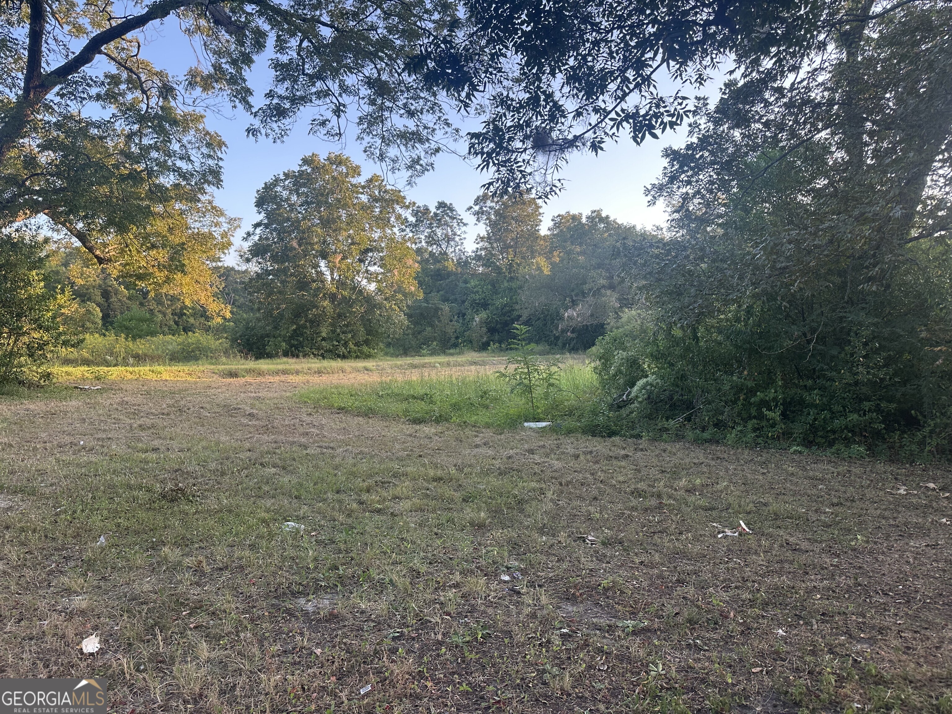 305 Mary Street Dublin, GA 31021 - Photo 4 of 4 a view of a field with trees