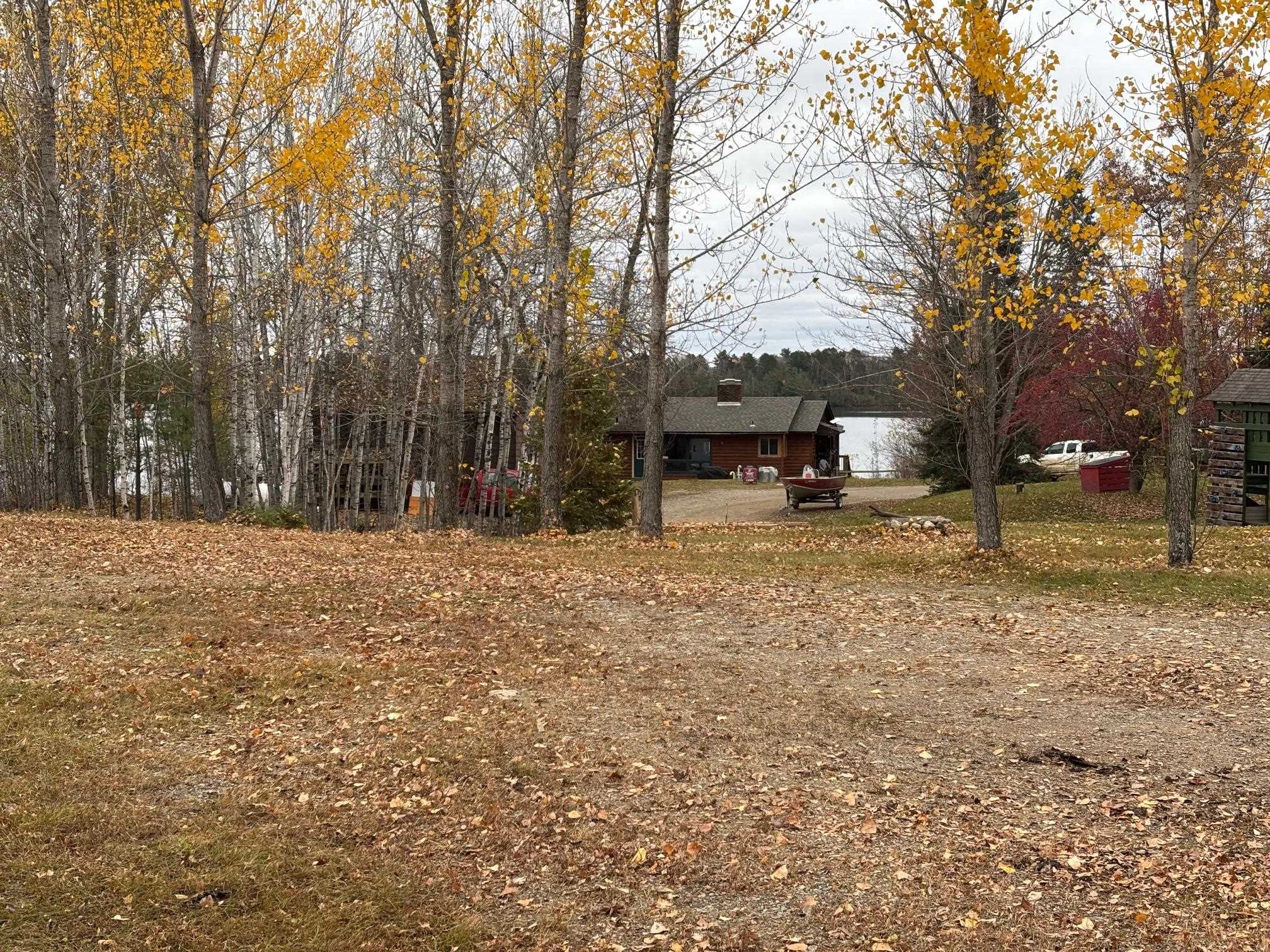 444 Fernberg Road Ely, MN 55731 - Photo 2 of 8 View of yard